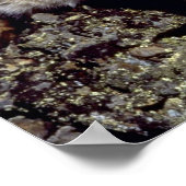 Bobcat met skyline poster (Hoek)