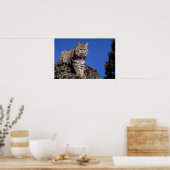 Bobcat met skyline poster (Keuken)