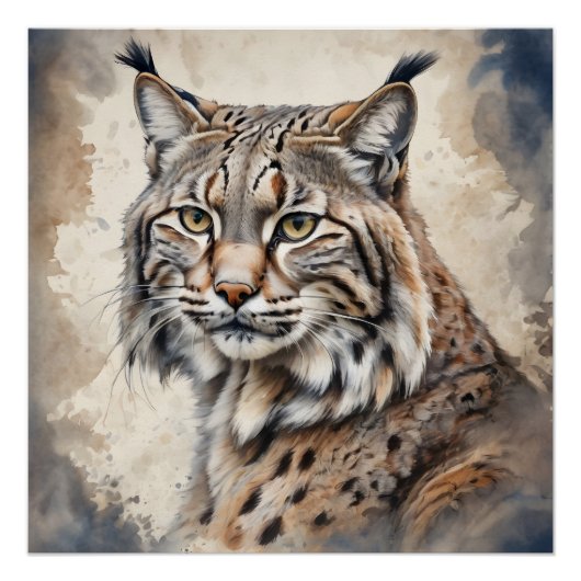 Bobcat nr. 6 perfect poster (Voorkant)