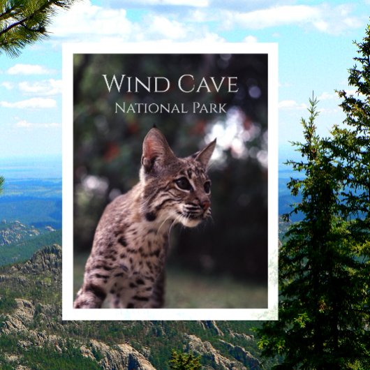 Bobcat op het Nationaal Park van de Wind Cave, Sou Briefkaart