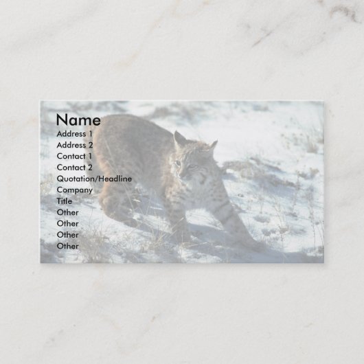Bobcat op sneeuw visitekaartje (Voorkant)