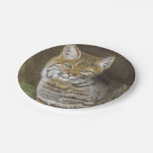 Bobcat Papieren Bordje (Gekanteld)
