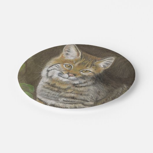 Bobcat Papieren Bordje (Gekanteld)
