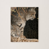 Bobcat Photo Puzzle Legpuzzel (Verticaal)