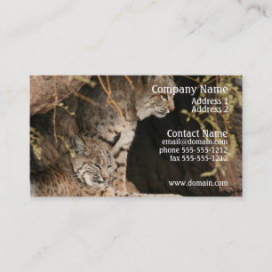 Bobcat Photo Visitekaartje