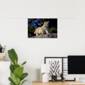 Bobcat Poster (Thuiskantoor)