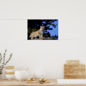 Bobcat Poster (Keuken)