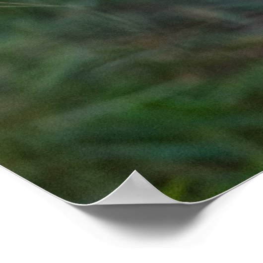 BobCat Poster (Hoek)