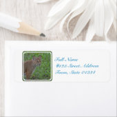 Bobcat Prowling Etiket (Insitu)