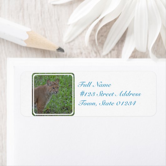 Bobcat Prowling Etiket (Insitu)