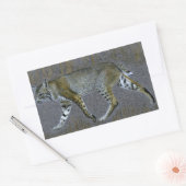 Bobcat Rechthoekige Sticker (Envelop)
