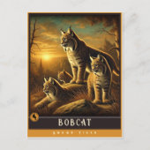 Bobcat | Schattige familie Briefkaart (Voorkant)