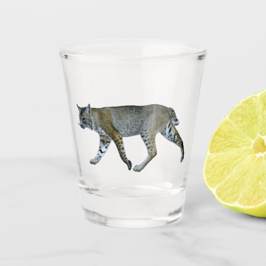 Bobcat Shot Glas (Voorkant)
