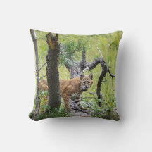 Bobcat-Sierkussen