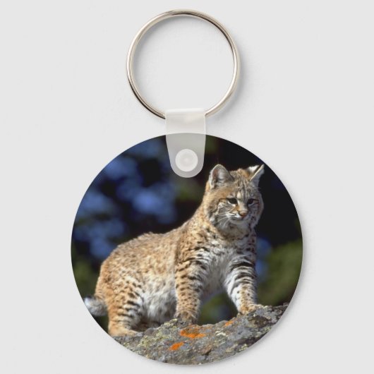 Bobcat Sleutelhanger (Voorkant)