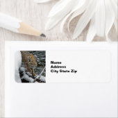 Bobcat Snow Water Foto Etiket (Insitu)