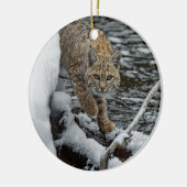 Bobcat Snow Water Foto Keramisch Ornament (Links)