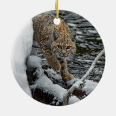 Bobcat Snow Water Foto Keramisch Ornament (Achterkant)