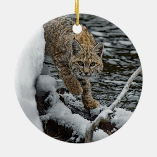 Bobcat Snow Water Foto Keramisch Ornament (Achterkant)