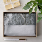 Bobcat Snow Water Foto Tissuepapier (Geschenk)