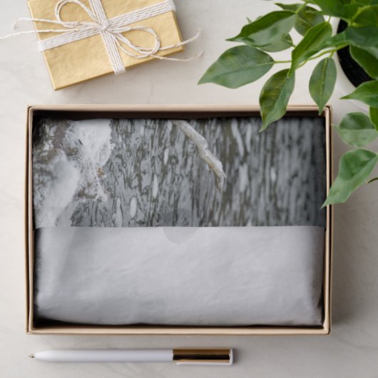 Bobcat Snow Water Foto Tissuepapier (Geschenk)