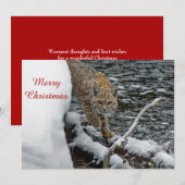Bobcat Snow Water Fotokerstflat Feestdagenkaart (Voorkant / Achterkant)
