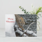 Bobcat Snow Water Fotokerstflat Feestdagenkaart (Staand voorkant)