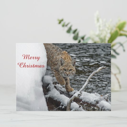 Bobcat Snow Water Fotokerstflat Feestdagenkaart (Staand voorkant)