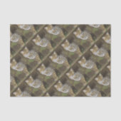 Bobcat Tissuepapier (Voorkant)