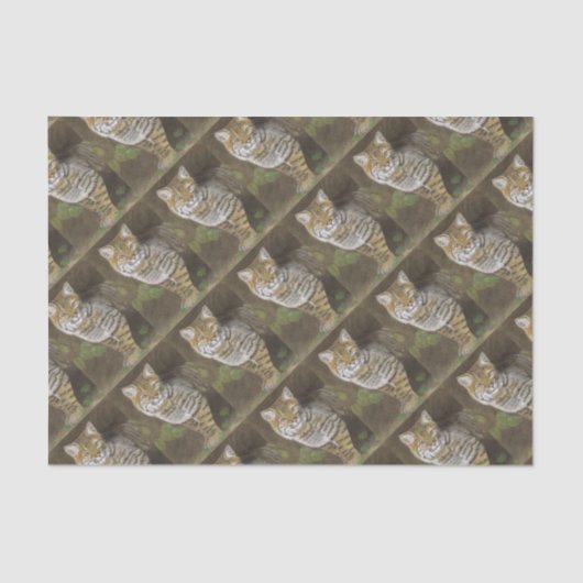 Bobcat Tissuepapier (Voorkant)