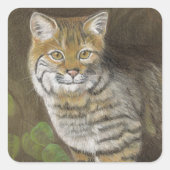 Bobcat Vierkante Sticker (Voorkant)