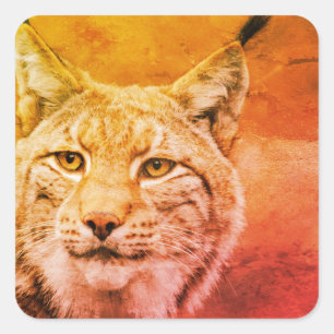 Bobcat Wildlife Stickers