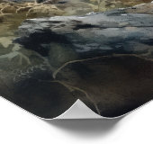 Bobcat Woodland Animal Art Print Poster (Hoek)