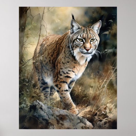 Bobcat Woodland Animal Art Print Poster (Voorkant)