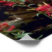 Bobcat-young kitten in holle bloemen poster (Hoek)