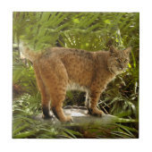 BobcatBCR004 Tegeltje (Voorkant)