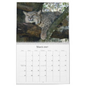 BobcatBCR031, Bobcat Kalender (Mar 2027)