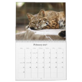 BobcatBCR031, Bobcat Kalender (Feb 2027)