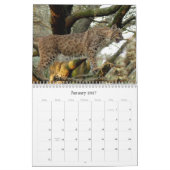 BobcatBCR031, Bobcat Kalender (Jan 2027)