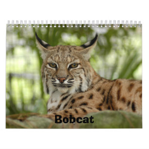 BobcatBCR031, Bobcat Kalender