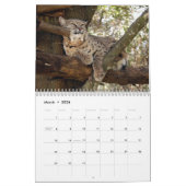BobcatBCR032, Bobcats Kalender (Mar 2026)