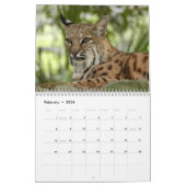 BobcatBCR032, Bobcats Kalender (Feb 2026)