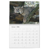 BobcatBCR032, Bobcats Kalender (Jan 2026)