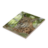 BobcatBCR032 Tegeltje (Zijkant)