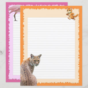 Bobcats (p1) en vogels (P2 - Rode Lepelaars) 