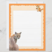 Bobcats (p1) en vogels (P2 - Rode Lepelaars)  (Voorkant)