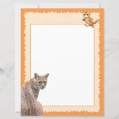 Bobcats (p1) en vogels (P2 - Rode Lepels) (Voorkant)
