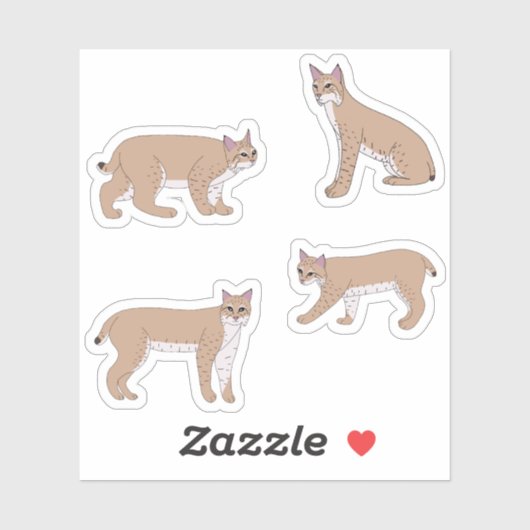 Bobcats Sticker (Vel)