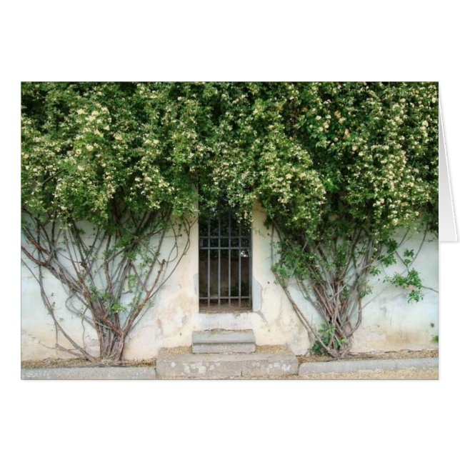 Boboli-tuinen (Voorkant Horizontaal)