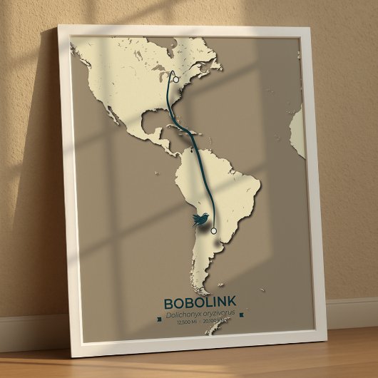 Bobolink-migratiekaart – minimalistische Vintage Poster